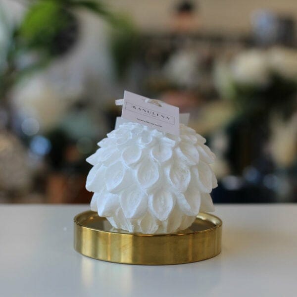 bougie plume